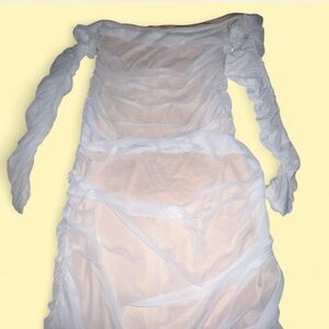 Fashion Nova Off shoulder Mesh Dress